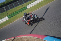 Lower Group Black Bikes